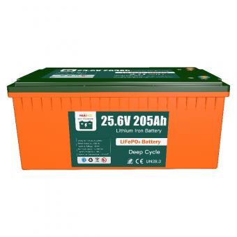 Storage Battery Lithium Iron Phosphate